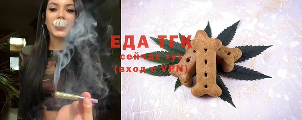 крисы Абаза