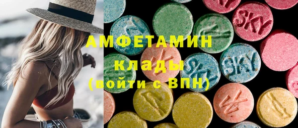 крисы Абаза