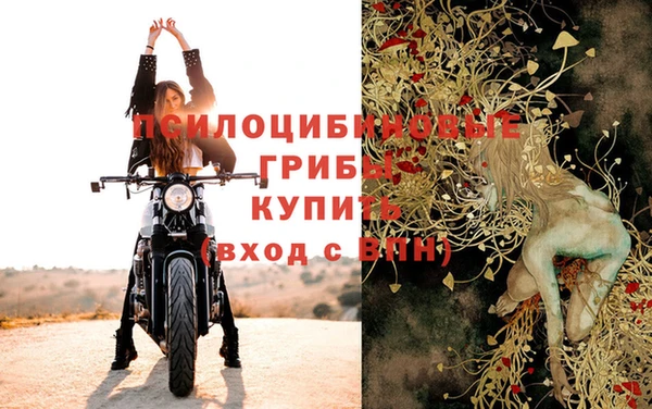 крисы Абаза