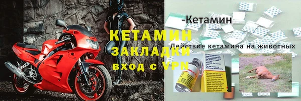 крисы Абаза