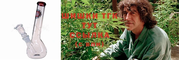 крисы Абаза