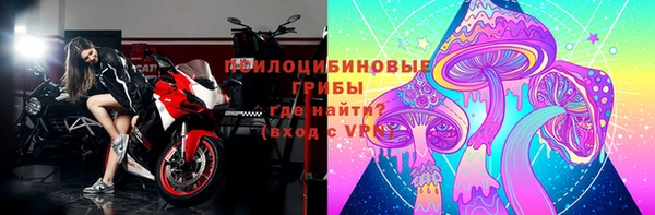 СК Абинск