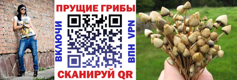 Галлюциногенные грибы мицелий  даркнет сайт  Адыгейск 